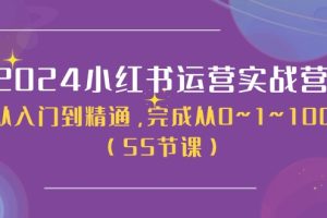 （11186期）2024小红书运营实战营，从入门到精通，完成从0~1~100（50节课）[中创网]