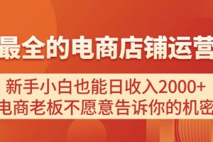 （11266期）电商店铺运营教学，新手小白也能日收入2000+，电商老板不愿意告诉你的机密[中创网]