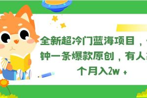 （11271期）全新超冷门蓝海项目，十分钟一条爆款原创，有人靠这个月入2w＋[中创网]