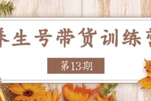 （11275期）养生号-带货训练营【第13期】收益更稳定的玩法，让你带货收益爆炸[中创网]