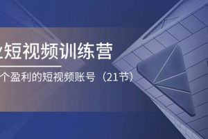 （11278期）企业短视频训练营：打造一个盈利的短视频账号（21节）[中创网]