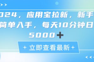 （11236期）2024应用宝拉新，真正的蓝海项目，每天动动手指，日入5000+[中创网]