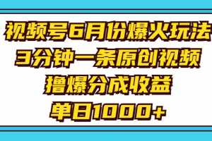 （11298期）视频号6月份爆火玩法，3分钟一条原创视频，撸爆分成收益，单日1000+[中创网]