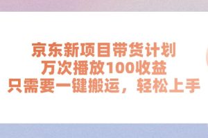 （11300期）京东新项目带货计划，万次播放100收益，只需要一键搬运，轻松上手[中创网]