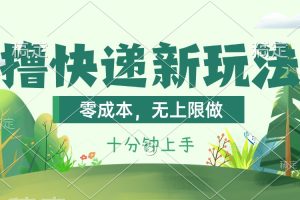 （11365期）撸快递最新玩法，零成本，无上限做，日产1000+。课程看完就会[中创网]