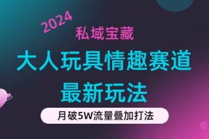 （11541期）私域宝藏：大人玩具情趣赛道合规新玩法，零投入，私域超高流量成单率高[中创网]