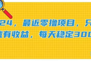 （11510期）2024，最近零撸项目，只要做就有收益，每天动动手指稳定收益300+[中创网]