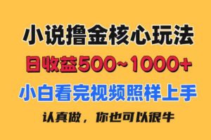 （11461期）小说撸金核心玩法，日收益500-1000+，小白看完照样上手，0成本有手就行[中创网]