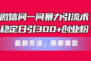 （11486期）微信问一问暴力引流术，稳定日引300+创业粉，最新方法，条条爆款[中创网]