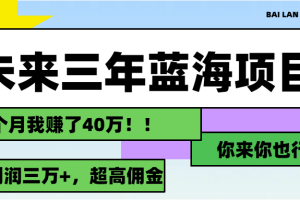 （11716期）未来三年，蓝海赛道，月入3万+[中创网]