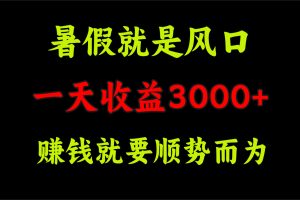 （11670期）一天收益3000+ 赚钱就是顺势而为，暑假就是风口[中创网]