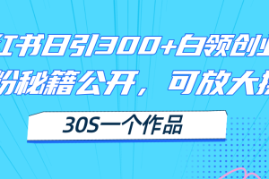 （11692期）小红书日引300+高质白领创业粉，可放大操作，爆粉秘籍！30s一个作品[中创网]