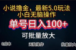 （11651期）全自动小说撸金，单号日入100+小白轻松上手，无脑操作[中创网]