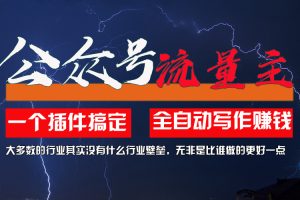 （11659期）利用AI插件2个月涨粉5.6w，一键生成，即使你不懂技术，也能轻松上手[中创网]