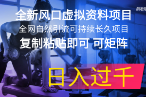 （11587期）全新风口虚拟资料项目 全网自然引流可持续长久项目 复制粘贴即可可矩阵…[中创网]