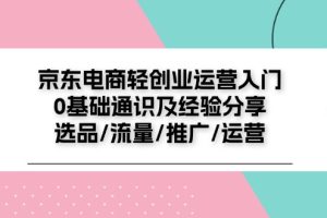 （11569期）京东电商-轻创业运营入门0基础通识及经验分享：选品/流量/推广/运营[中创网]