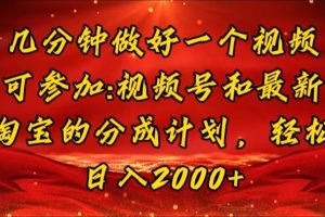 （11835期）几分钟一个视频，可在视频号，淘宝同时获取收益，新手小白轻松日入2000…[中创网]