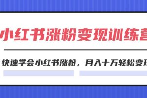 （11762期）2024小红书涨粉变现训练营，快速学会小红书涨粉，月入十万轻松变现(40节)[中创网]