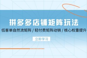 （12720期）拼多多店铺矩阵玩法：低客单自然流矩阵 / 轻付费矩阵 动销 / 核心权重提升[中创网]