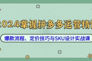 （12703期）2024掌握拼多多运营精髓：爆款流程、定价技巧与SKU设计实战课[中创网]